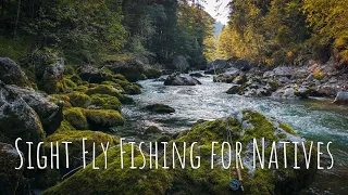 SIGHT FLY FISHING at GIN CLEAR alpine river | Wild trout heaven!