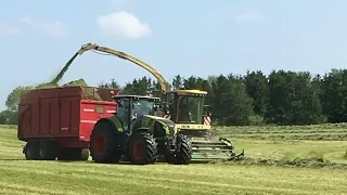 Claas Axion 850 + Krampe