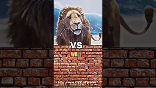 ASLAN VS TIER SISTEM #aslan #narnia #tiersistem #lion #debate