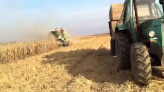 Claas 116 cs corn harvest with heder for cereals
