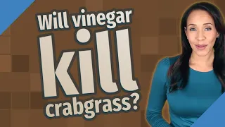 Will vinegar kill crabgrass?