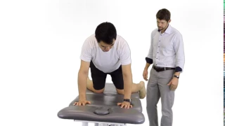 Quadruped rock back hip IR