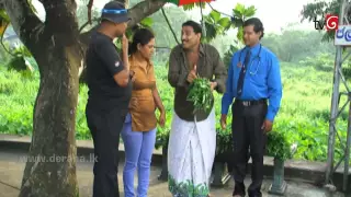 Nataka Marai Namaya Hamarai   Episode 34 23rd July 2015