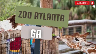 🌿 Discover Zoo Atlanta: A Family Adventure 🌺 #Atlanta #Attractions #AtlantaZoo