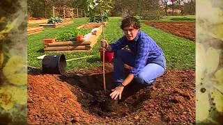 Tree Planting in Heavy Clay