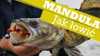 Mandula na sandacza - Jak łowić na mandule?