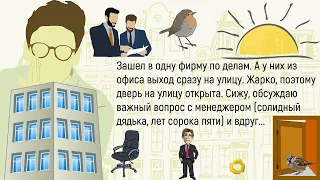 🏠Сегодня По Дороге На Работу...Сборник Новых Весёлых Историй Из Жизни,О Братьях Наших Меньших!