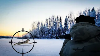 ОХОТА НА ЗАЙЦА КАК ОНА ЕСТЬ... Охота с собаками по свежему снегу.