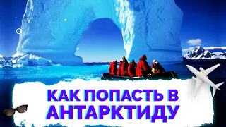 ✅ Антарктида как попасть добраться 2023 | Обзор круиза, экспедиций, путешествия