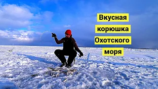 Fishing. Sea of Okhotsk