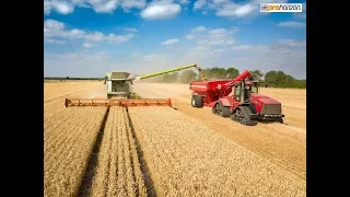 Wheat Harvest 2018  - CLAAS Lexion 780 TT & HORSCH chaser bin on the 535 Quadtrac - CTF