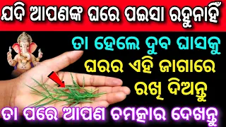 ଦୁବ ଘାସର ଚେର କୋଟିପତି କାହିଁକି କରିଥାଏ,୨୪ ଘଣ୍ଟାରେ ଭାଗ୍ୟ ଚମକିବ, Doobgrass Benefits#Anuchinta#Maalaxmi