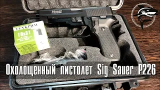 Охолощенный пистолет Sig Sauer P226 (Техкрим, 10х31)