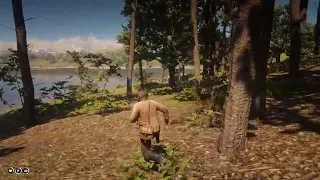 I'm really amazed I didn't see this before in RDR2