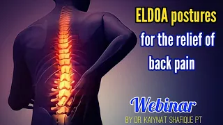 ELDOA exercises for neck & back pain | Stretches and Postures for cervical thoracic and lumber spine