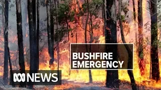 Firefighters injured, homes at risk as bushfires rage across NSW | ABC News