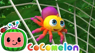 Itsy Bitsy Spider! | CoComelon Nursery Rhymes