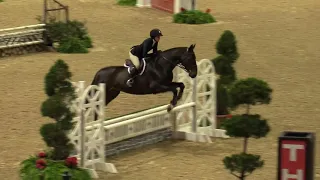 Video of CASPER II ridden by CATHERINE MOONEY from ShowNet!