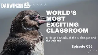 World's Most Exciting Classroom Episode038: Birds and Sharks of Galapagos and the Atlantic