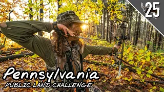 PA PUBLIC LAND CHALLENGE: DAY 4: Big Bucks Spotted!