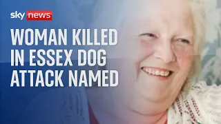 Woman, 68, dies after being mauled by two dogs in Jaywick, Essex