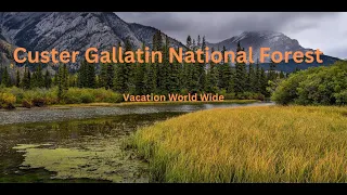 Why You Need to Explore Custer Gallatin Forest