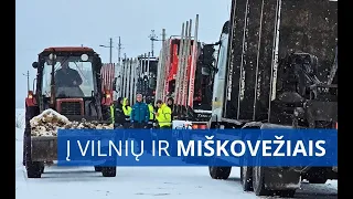 Miškininkai arba kieno miške kankorėžiai?