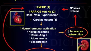 Emory Cardiology Grand Rounds 04-11-2016