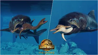 Dunkleosteus Deadly Hunting Animations vs All Marine Reptiles including Mosasaurus, and Kronosaurus