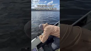 Виїхали ловити хижу рибу, а клювала біла🤪рибалка на джиг, рибалка на човні, березень 2024.