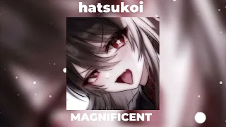 hatsukoi - MAGNIFICENT