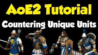 Beginners guide to countering every Unique Unit [AoE2]