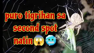 Version 2.0 kaspider hunting puro tigrihan sa second spot 😱🥶