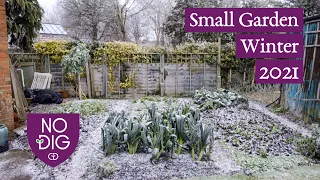 Small Garden Winter 2021