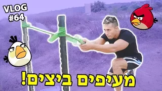 מעיפים ביצים!