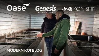 Modern Koi Blog #5850 - Alis Riesenbürstenfilter mit zwischenzeitlichen Problemen