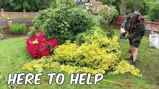 Anxiety And Depression Caused This Garden To Get Out Of Control | We Were Happy To Help Transform It