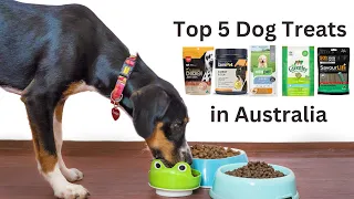 🥇 Discover the Ultimate Dog Treats in Australia: Top 5 Revealed! |  TopDogTreats