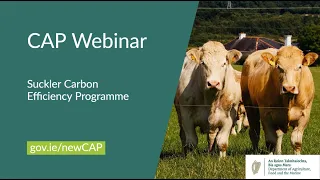 New #CAP Schemes 2023-2027 - Suckler Carbon Efficiency Programme (SCEP) webinar - Bord Bia, ICBF