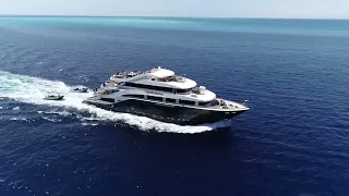 All Star Liveaboards: The Wonders of the Red Sea