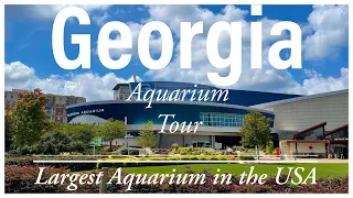 Largest Aquarium in the USA Georgia Aquarium
