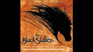 01 Theme from The Black Stallion (Chamber Orchestra)