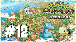 Pokemon Mystery Dungeon: Explorers of Sky Playthrough with Chaos & Shroom part 12: Members Chosen