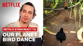 Robert Sheehan + Netflix Stars React to Dancing Birds | Our Planet | Netflix