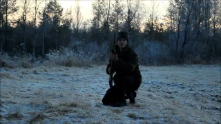 Ketun metsästys-ketun pillitys-fox hunting. verminator thumper