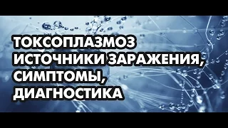 Токсоплазмоз источники заражения, симптомы, диагностика.Доктор, диетолог, блогер Борис Скачко