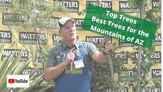 Top Trees - Best Trees for the Mountains of Arizona