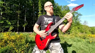 The Offspring   The Kids Aren't Alright  (guitarcover)   Harley Benton - R-446