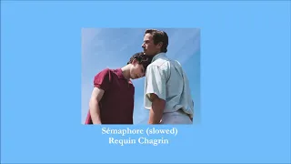 Requin Chagrin - Sémaphore (slowed)