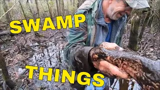 Swamp Things